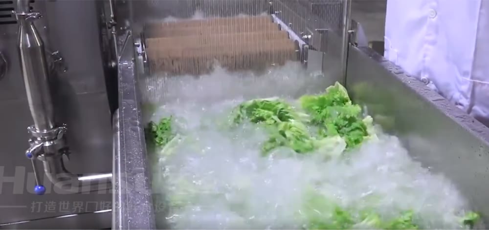 蔬菜清洗機設(shè)備廠家