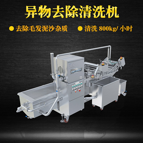 果蔬自動氣泡清洗機，清洗800kg小時，果蔬自動氣泡清洗機