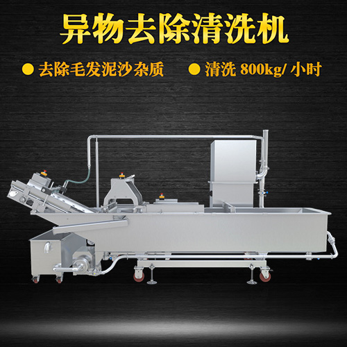 果蔬自動氣泡清洗機，清洗800kg小時，果蔬自動氣泡清洗機