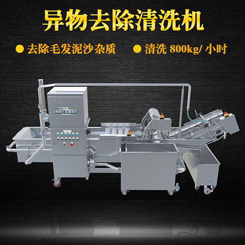 蔬菜自動化清洗設備，氣泡清洗，清洗800kg小時