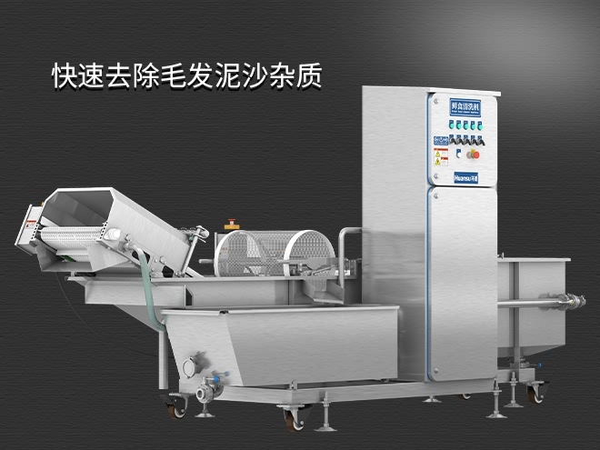 果蔬清洗機制造廠家，氣泡清洗，清洗800kg/小時