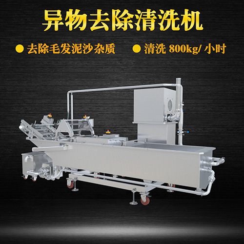 高質(zhì)蔬菜清洗機，氣泡清洗，清洗800kg小時