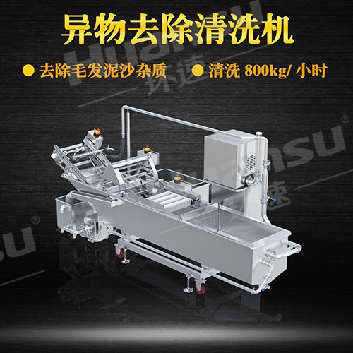 翻浪蔬菜清洗機(jī) 果蔬地瓜土豆專用清洗設(shè)備